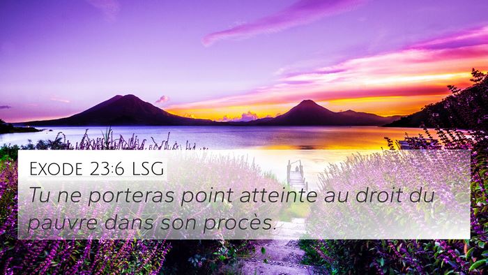 Exode 23:6 LSG Bible Verse Image
