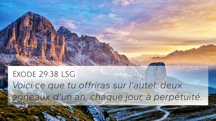 Exode 29:38 LSG Bible Verse Image