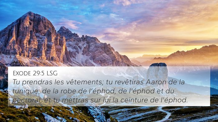 Exode 29:5 LSG Bible Verse Image