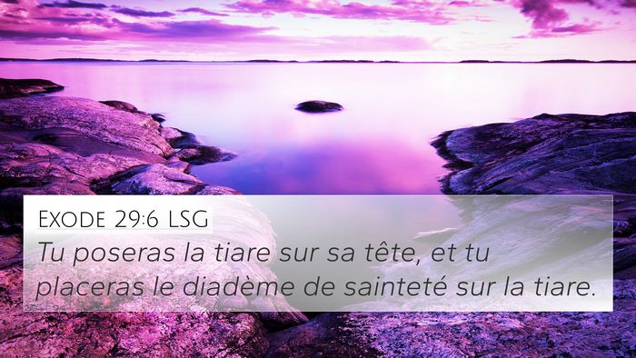 Exode 29:6 LSG Bible Verse Image