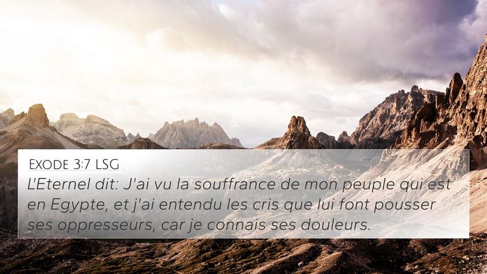 Exode 3:7 LSG Bible Verse Image