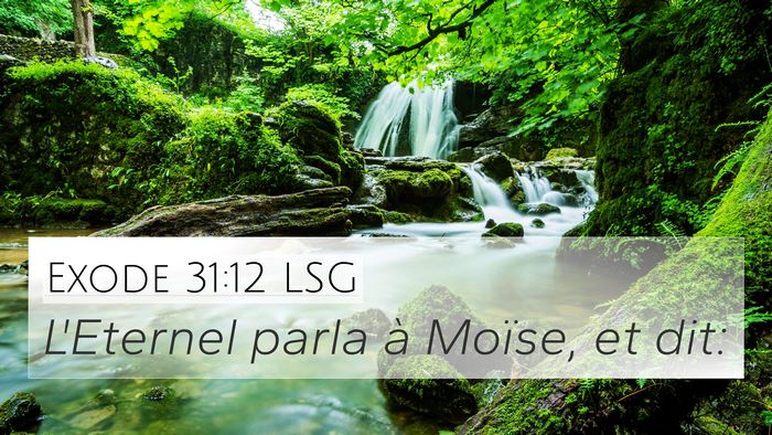 Exode 31:12 LSG Bible Verse Image