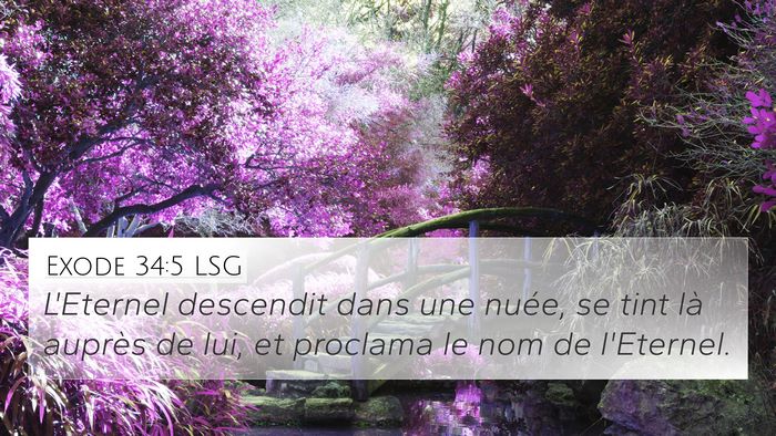 Exode 34:5 LSG Bible Verse Image