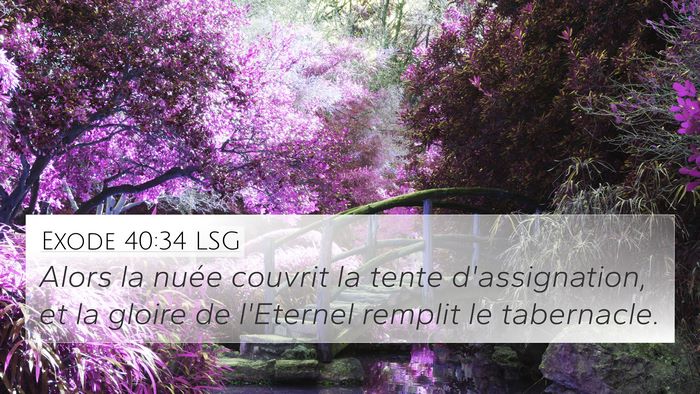 Exode 40:34 LSG Bible Verse Image