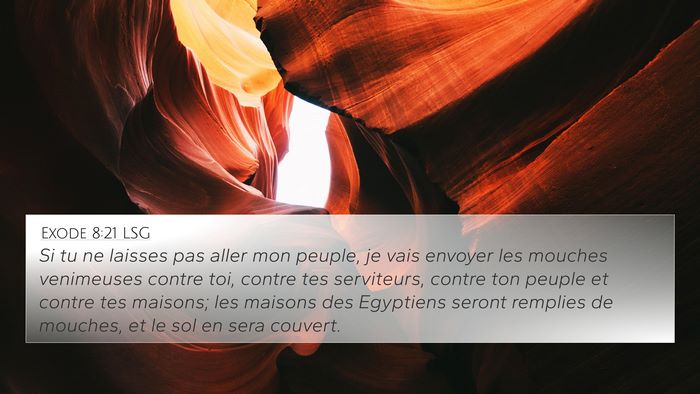 Exode 8:21 LSG Bible Verse Image