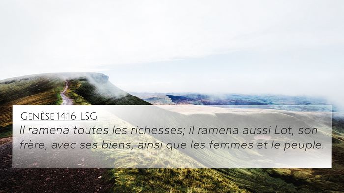 Genèse 14:16 LSG Bible Verse Image
