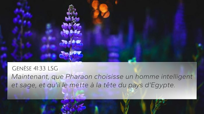 Genèse 41:33 LSG Bible Verse Image