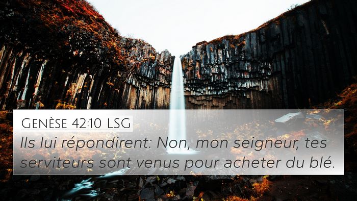 Genèse 42:10 LSG 4K Wallpaper - Ils lui répondirent: Non, mon seigneur, tes - 4K Wallpaper Bible Verse