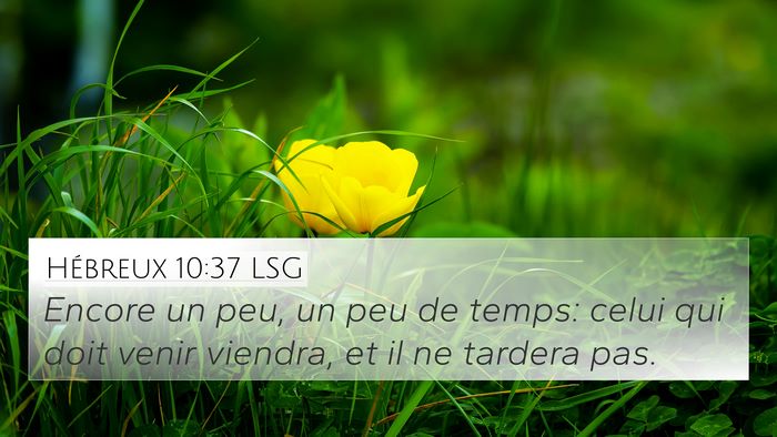 Hébreux 10:37 LSG Bible Verse Image