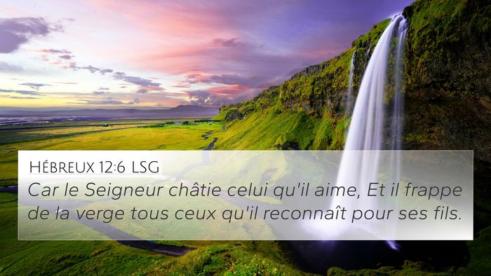 Hébreux 12:6 LSG Bible Verse Image