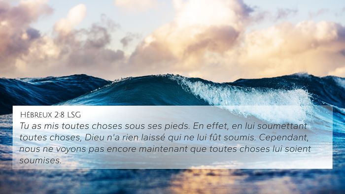 Hébreux 2:8 LSG Bible Verse Image