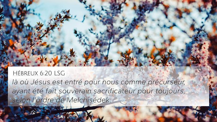Hébreux 6:20 LSG Bible Verse Image