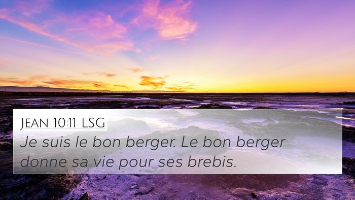 Jean 10:11 LSG Bible Verse Image