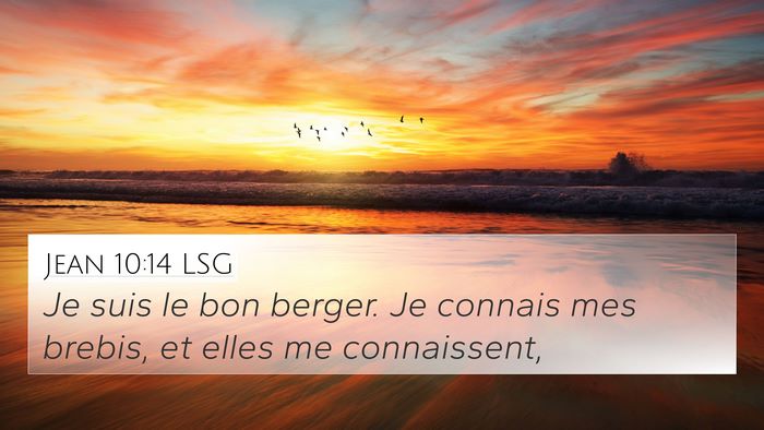 Jean 10:14 LSG Bible Verse Image