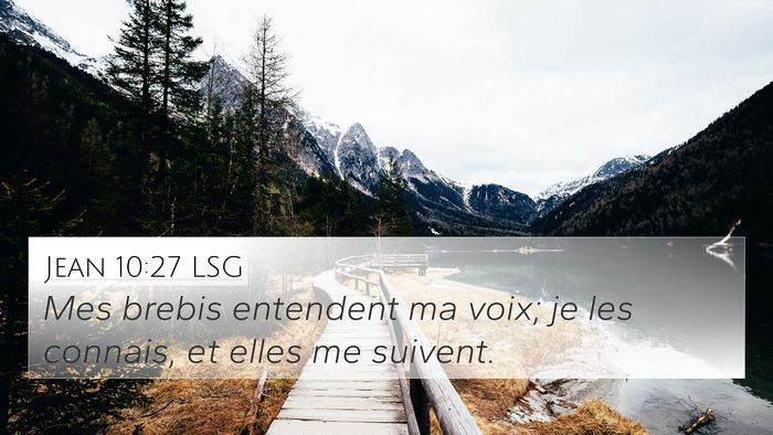 Jean 10:27 LSG Bible Verse Image