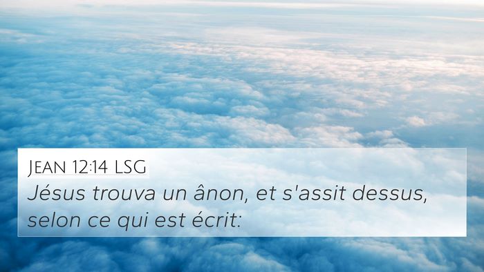 Jean 12:14 LSG Bible Verse Image