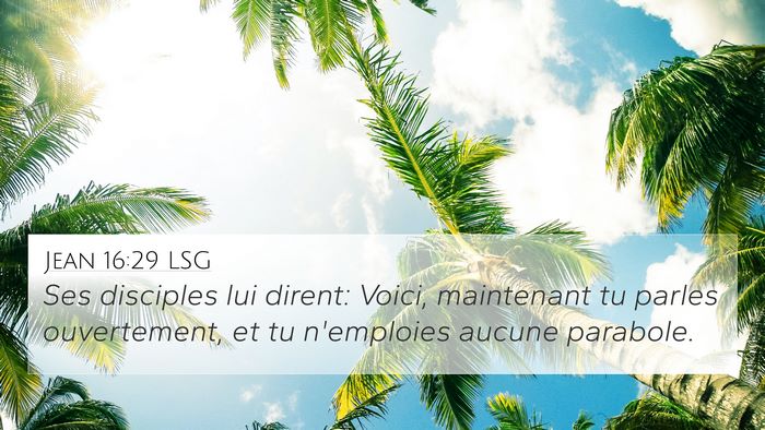 Jean 16:29 LSG Bible Verse Image