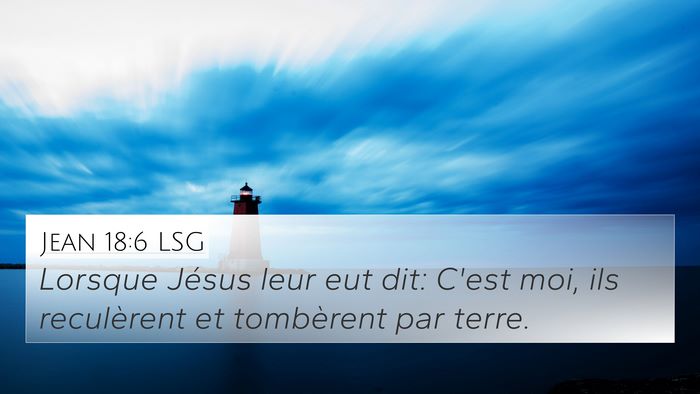 Jean 18:6 LSG Bible Verse Image