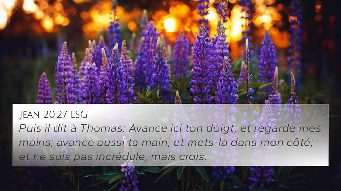 Jean 20:27 LSG Bible Verse Image