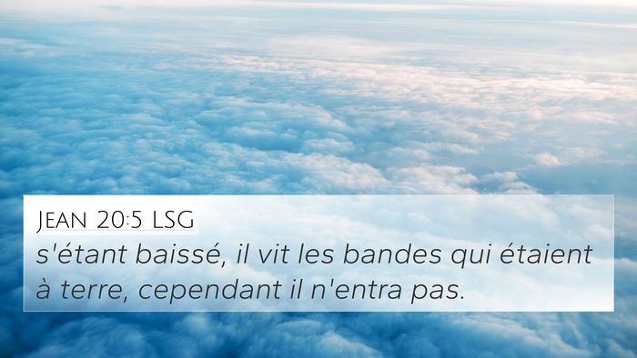Jean 20:5 LSG Bible Verse Image