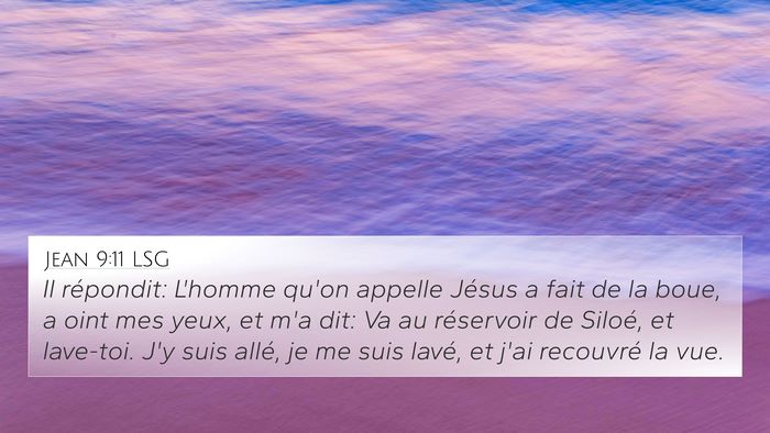 Jean 9:11 LSG Bible Verse Image