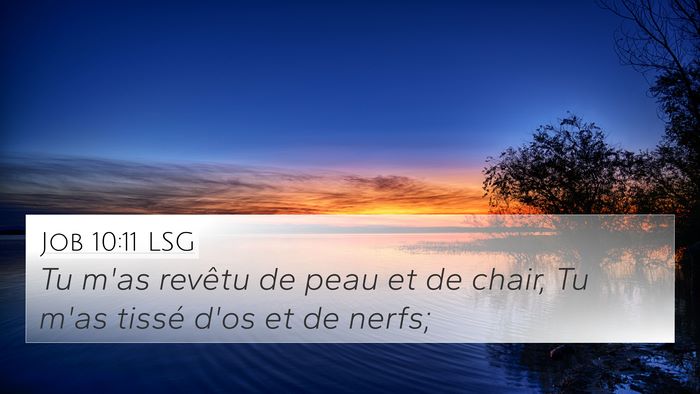 Job 10:11 LSG 4K Wallpaper - Tu m'as revêtu de peau et de chair, Tu m'as - 4K Wallpaper Bible Verse