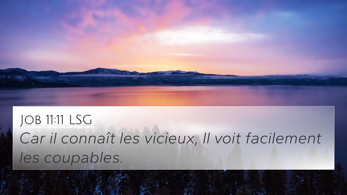 Job 11:11 LSG Bible Verse Image