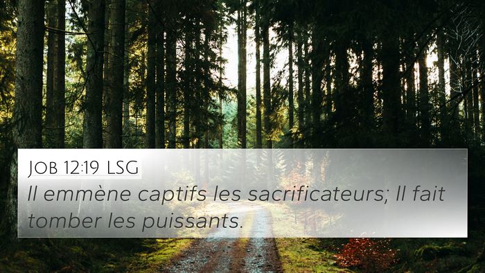 Job 12:19 LSG 4K Wallpaper - Il emmène captifs les sacrificateurs; Il fait - 4K Wallpaper Bible Verse