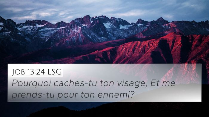 Job 13:24 LSG Bible Verse Image