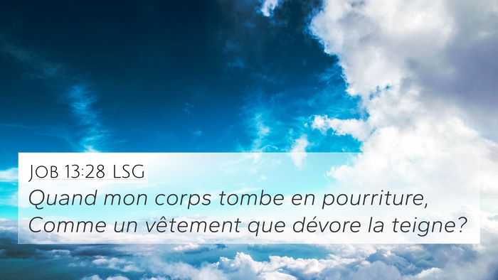 Job 13:28 LSG Bible Verse Image
