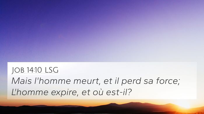 Job 14:10 LSG Bible Verse Image