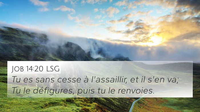 Job 14:20 LSG 4K Wallpaper - Tu es sans cesse à l'assaillir, et il s'en va; - 4K Wallpaper Bible Verse
