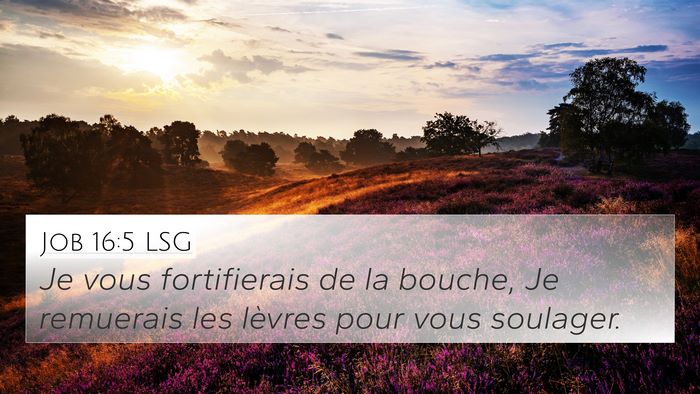 Job 16:5 LSG 4K Wallpaper - Je vous fortifierais de la bouche, Je remuerais - 4K Wallpaper Bible Verse