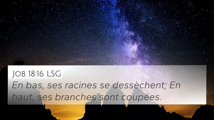Job 18:16 LSG Bible Verse Image
