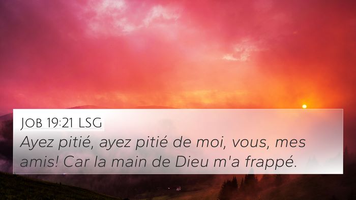 Job 19:21 LSG Bible Verse Image