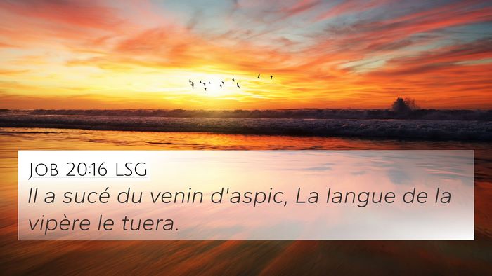 Job 20:16 LSG Bible Verse Image