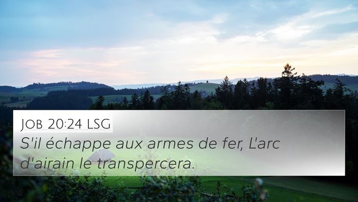 Job 20:24 LSG Bible Verse Image