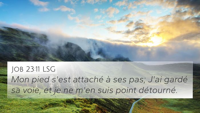 Job 23:11 LSG Bible Verse Image