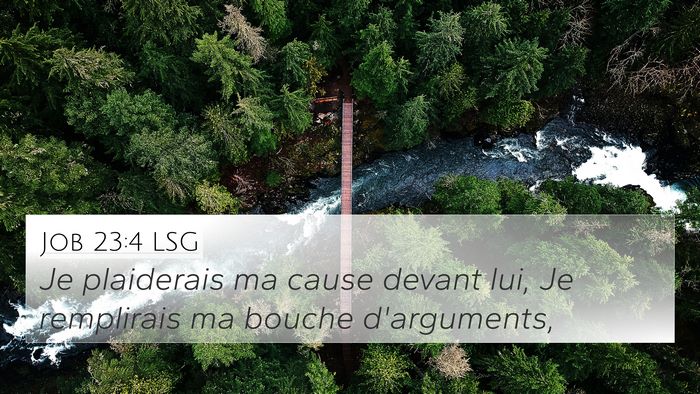 Job 23:4 LSG 4K Wallpaper - Je plaiderais ma cause devant lui, Je remplirais - 4K Wallpaper Bible Verse