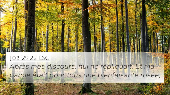 Job 29:22 LSG 4K Wallpaper - Après mes discours, nul ne répliquait, Et ma - 4K Wallpaper Bible Verse