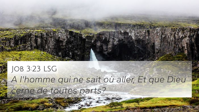 Job 3:23 LSG 4K Wallpaper - A l'homme qui ne sait où aller, Et que Dieu - 4K Wallpaper Bible Verse