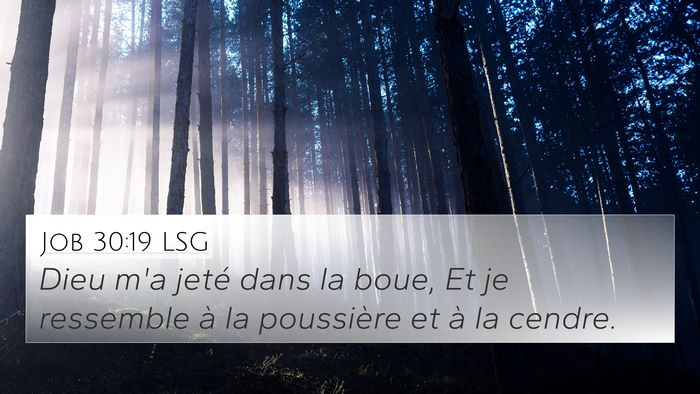 Job 30:19 LSG Bible Verse Image