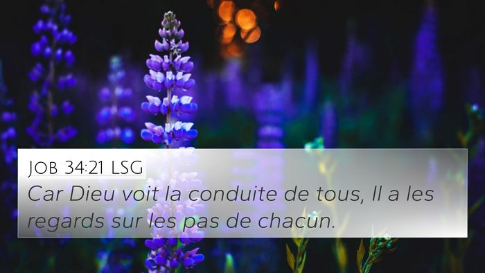 Job 34:21 LSG Bible Verse Image