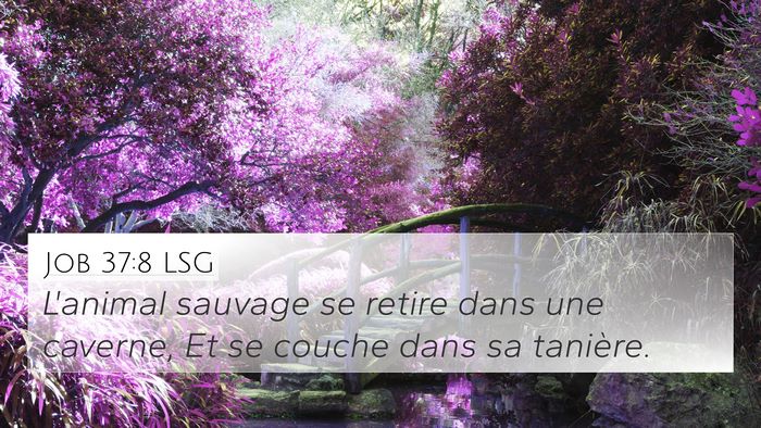 Job 37:8 LSG Bible Verse Image