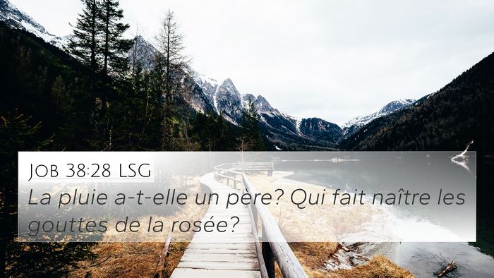 Job 38:28 LSG 4K Wallpaper - La pluie a-t-elle un père? Qui fait naître les - 4K Wallpaper Bible Verse