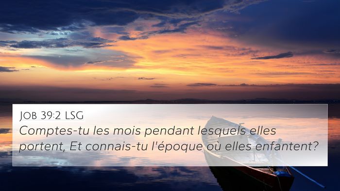 Job 39:2 LSG 4K Wallpaper - Comptes-tu les mois pendant lesquels elles - 4K Wallpaper Bible Verse
