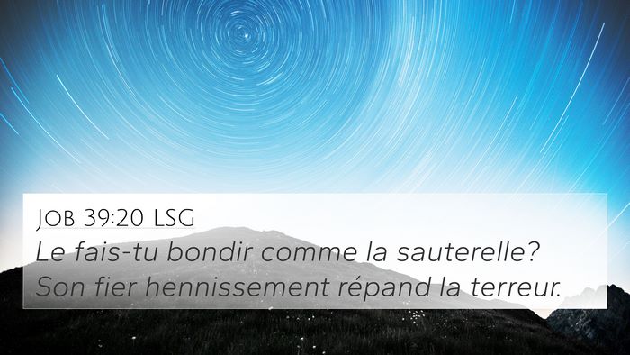 Job 39:20 LSG 4K Wallpaper - Le fais-tu bondir comme la sauterelle? Son fier - 4K Wallpaper Bible Verse