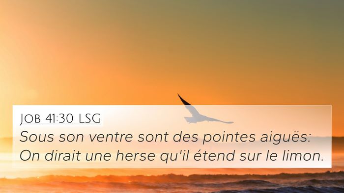 Job 41:30 LSG 4K Wallpaper - Sous son ventre sont des pointes aiguës: On - 4K Wallpaper Bible Verse