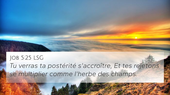 Job 5:25 LSG 4K Wallpaper - Tu verras ta postérité s'accroître, Et tes - 4K Wallpaper Bible Verse
