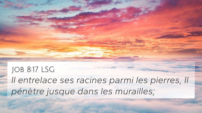 Job 8:17 LSG 4K Wallpaper - Il entrelace ses racines parmi les pierres, Il - 4K Wallpaper Bible Verse